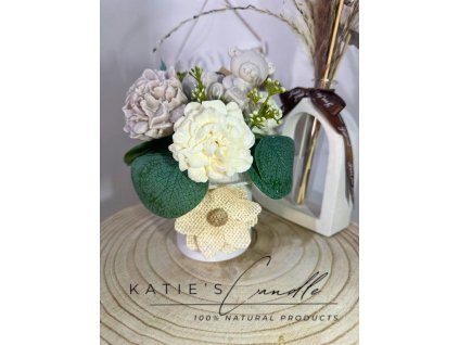 Dračí ovoce + třešeň