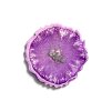 Podtácek Dračí oko fialové