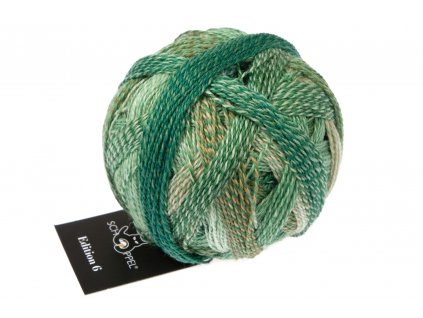 Příze Edition 6 2595_ Grünzeug 100% Merino, 50g