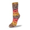 2071 Patagonia Socken 1603 600x600