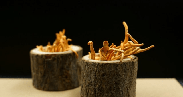 Káva a houby: Hloupý trend, nebo dobrá inovace?