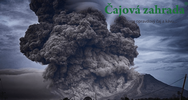 Proč kávě vyhovuje sopečná půda?