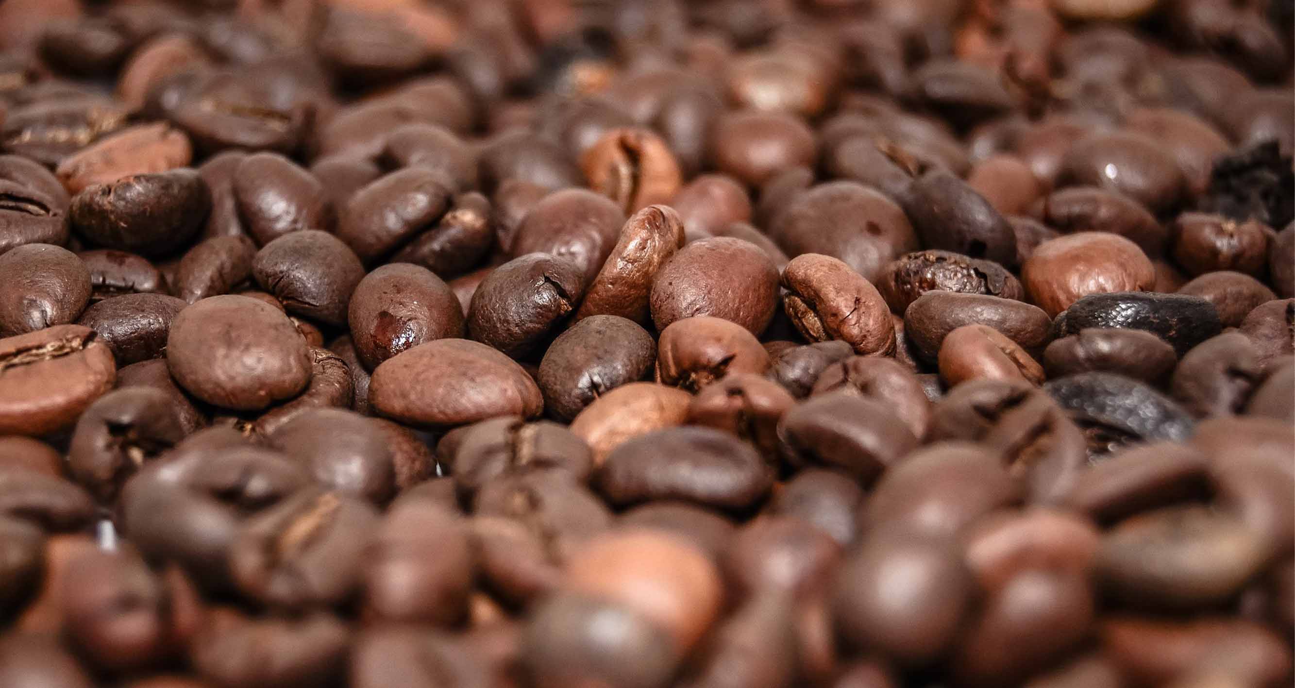 Vietnam - Od francouzských kolonizátorů až po jednoho z největších producentů kávy