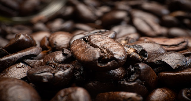 Znáte kávu maragogype?