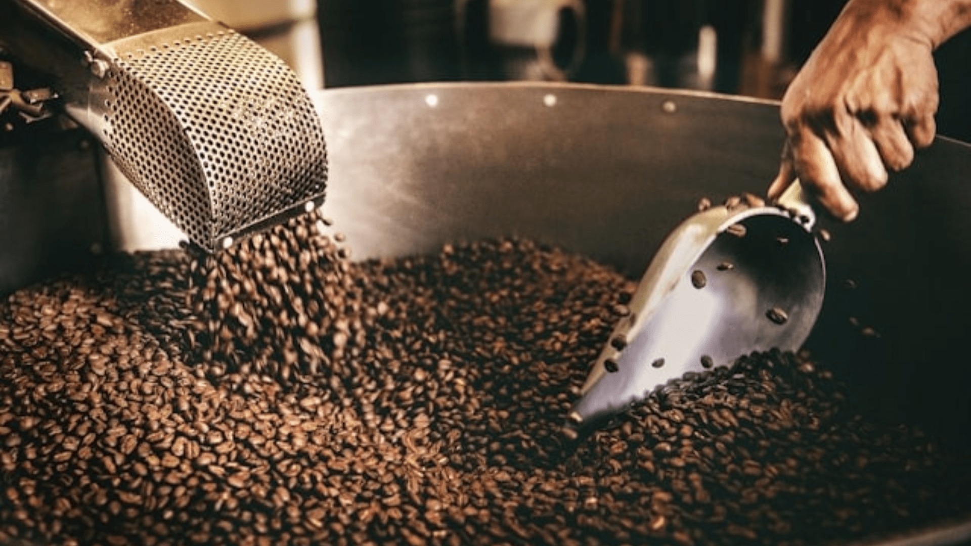 Rizika nadměrného pití kávy: Na co si dát pozor?