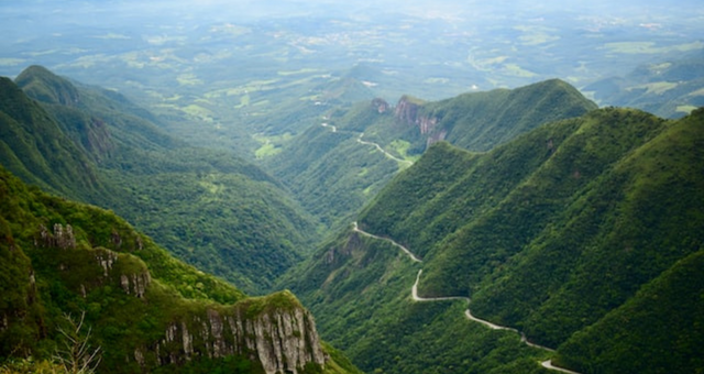 Zajímavosti o kávě, které vás nejspíš překvapí – část první