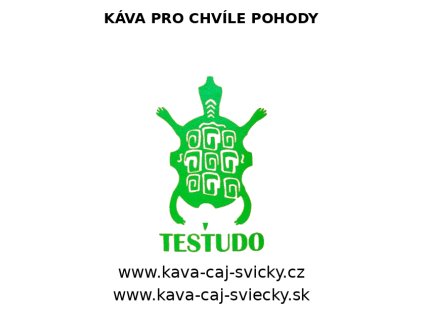 testudo logo with texts