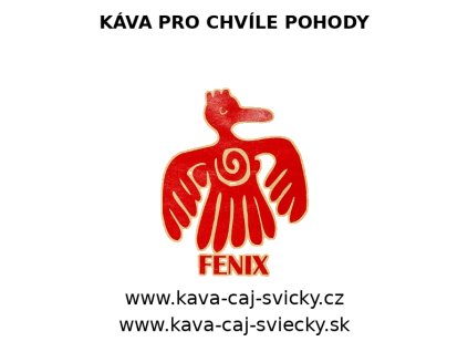 fenix logo with texts slogan fixed