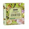 Basilur zelený čaj s kúskami ovocia v darčekovom balení knihy (Sencha, Cream fantasy, Green freshness, White magic), porciovaný s prebalom, BASILUR Book Assorted 32 Bouquet, 48g (32x1,5g). Tea book.