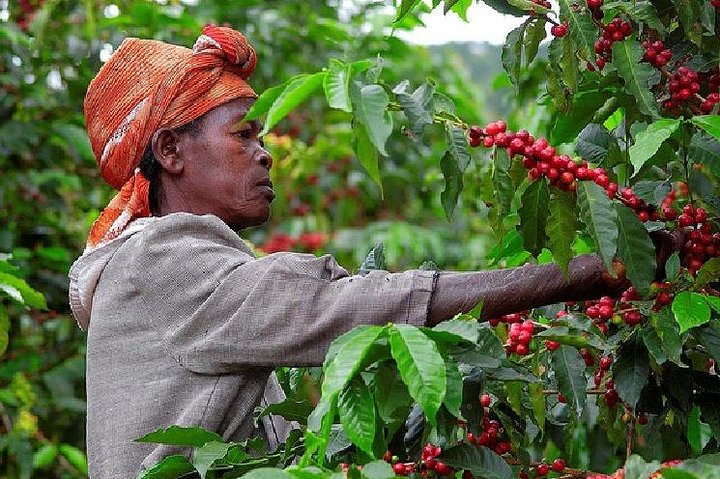 Rwanda