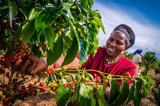 Rwanda