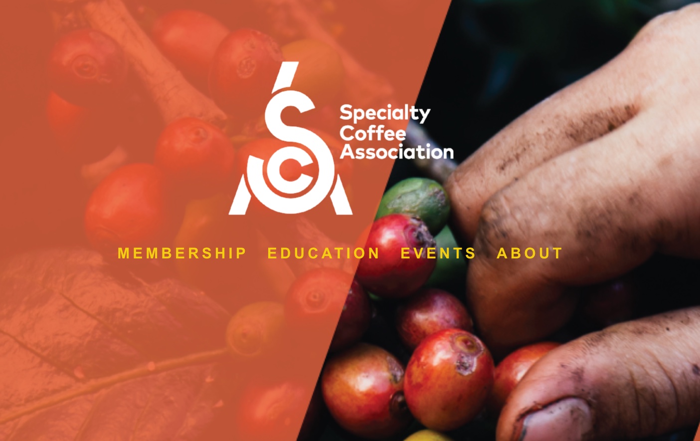 Specialty-Coffee-Association