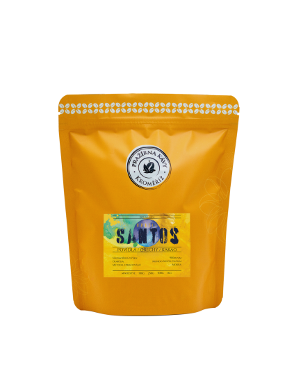 brazil santos
