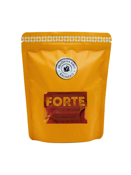 forte 1080
