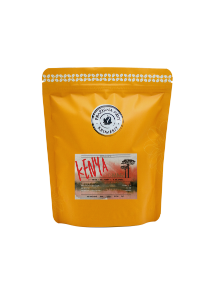 kenya ichamara