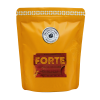 forte 1080