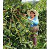 Peru kava