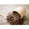 Mexico finca coffee