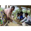 54561 783 vyrp15 270rwanda hingakawa 3