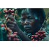 sber kavy Uganda