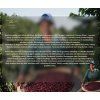 Fazenda