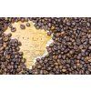 brazil coffee beans