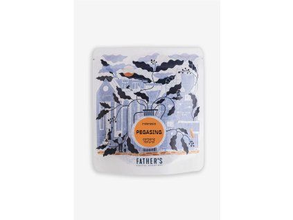 FILTR Pegasing Carbonic