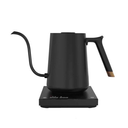 fish electric kettlle 1