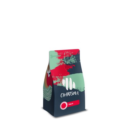 CH vizu 250g 9bar