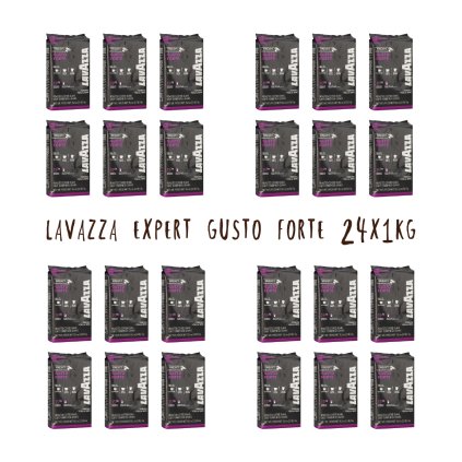 Lavazza Expert Gusto Forte 24x1kg