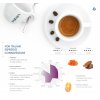 aromamore descript