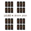 lucaffe mr exclusive 24x1kg