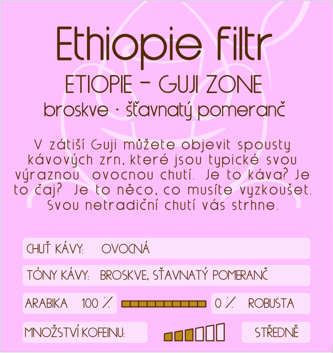 Ethiopie filtr