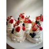 PAVLOVA