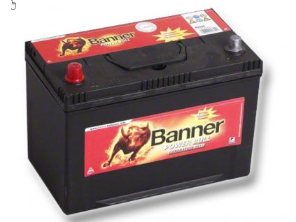 Banner Power Bull 12V 95Ah 720A P95 05