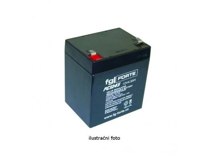 fgFORTE 12V 5Ah FG12-30W