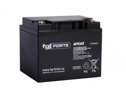 fgFORTE 12V 45Ah 6FG45