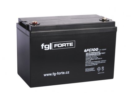 fgFORTE 12V 100Ah 6FG100