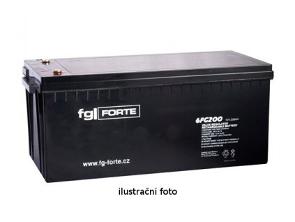 fgFORTE 12V 120Ah 6FG120