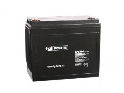 fgFORTE 12V 134Ah 6FG134
