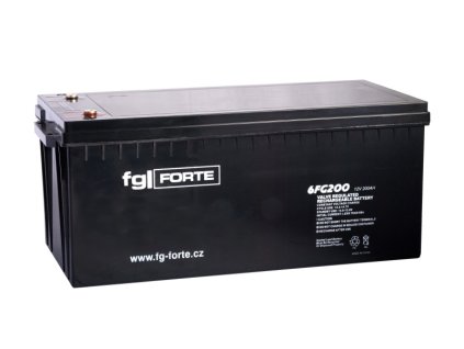 fgFORTE 12V 200Ah 6FG200