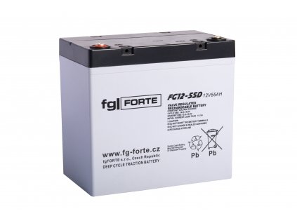 fgFORTE 12V 75Ah FG12-75D