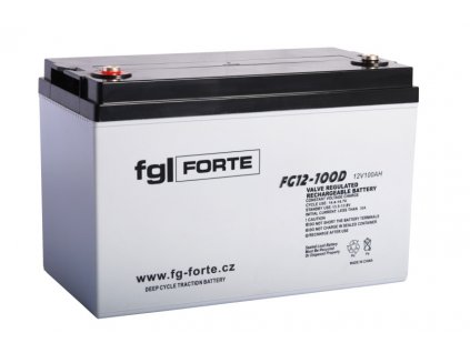 fgFORTE 12V 100Ah FG12-100D