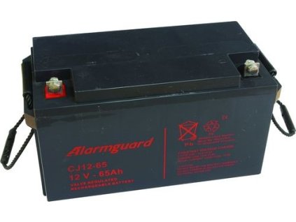 ALARMGUARD CJ12-65 12V 65Ah