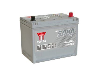 ybx5068.1 f