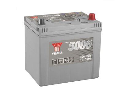 ybx5005.1 f