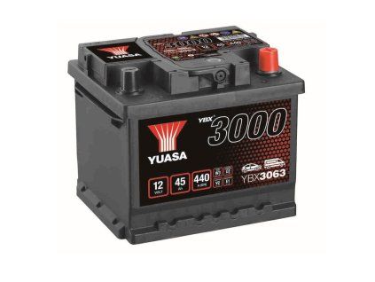 ybx3063.1 f