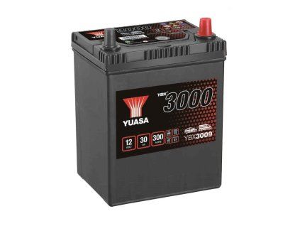 ybx3009.1 f