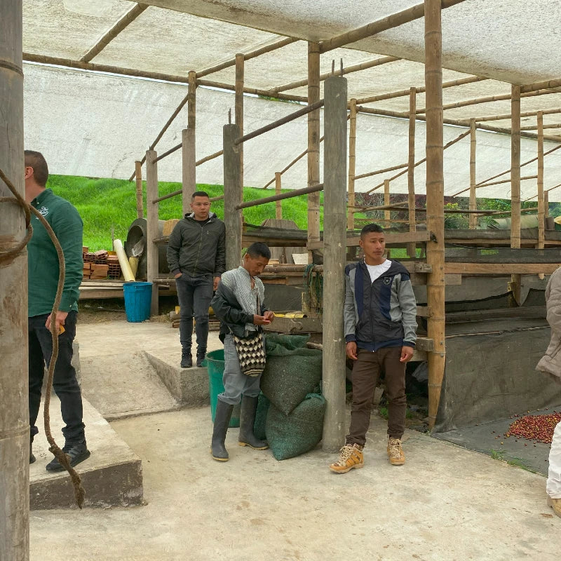 Black-Condor_Project-Drying-Patio.webp