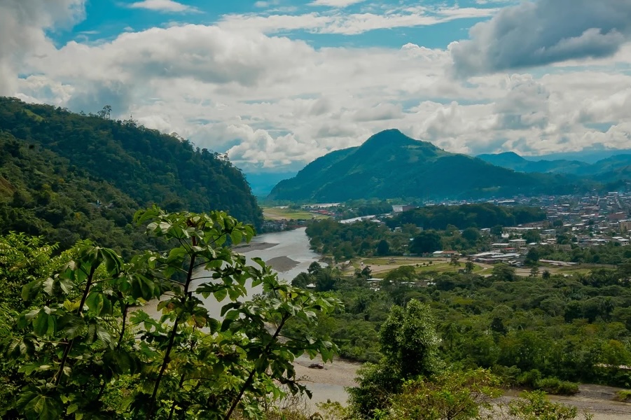 Negrisa_Peru_02